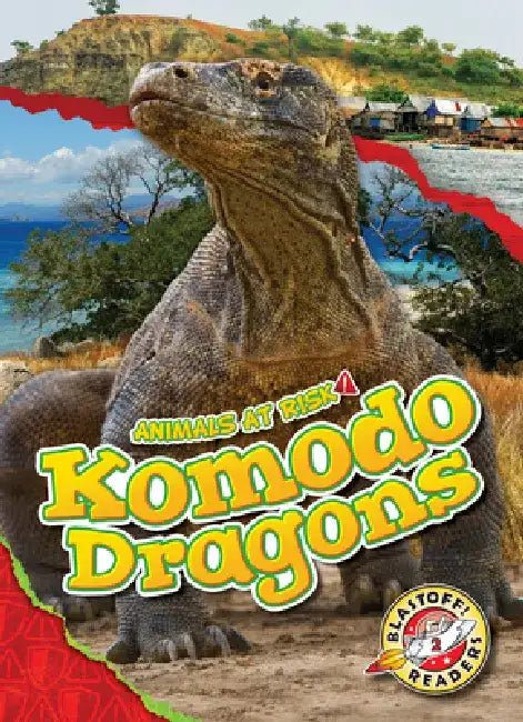 Komodo Dragons by Rachel Grack