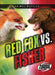 Red Fox vs. Fisher by Nathan Sommer