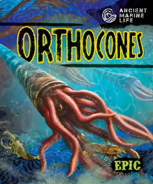 Orthocones by Kate Moening