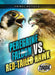 Peregrine Falcon vs. Red-Tailed Hawk by Nathan Sommer
