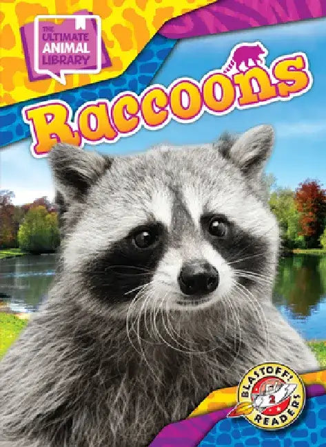 Raccoons by Janie Scheffer
