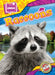 Raccoons by Janie Scheffer