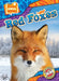 Red Foxes by Chris Bowman