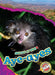 Aye-Ayes by Rachel Grack
