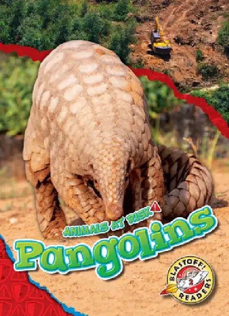 Pangolins by Rachel Grack