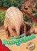 Pangolins by Rachel Grack