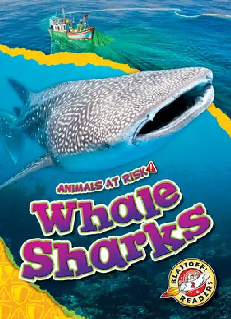 Whale Sharks by Rachel Grack