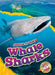 Whale Sharks by Rachel Grack