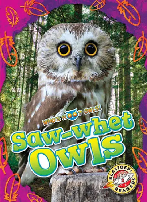 Saw-Whet Owls by Rachael Barnes