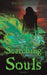 Searching Souls by Nicole Stone