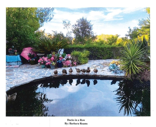 Ducks in a Row by Barbara Reams