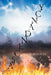 Ascendancy by C. L., Jr. Black