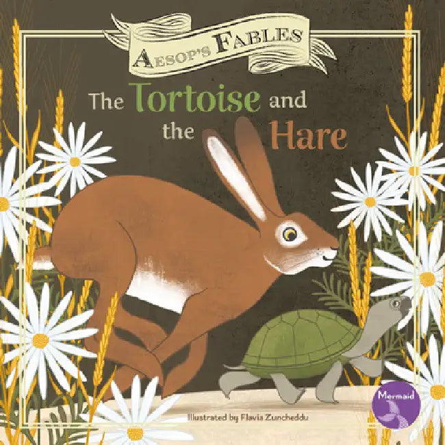 The Tortoise and the Hare by Shannon Anderson
