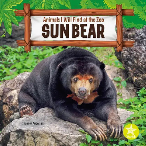 Sun Bear by Shannon Anderson
