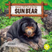 Sun Bear by Shannon Anderson