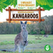 We Read about Kangaroos by Shannon Anderson