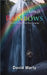 Living Beyond Rainbows: Second Generation Chiropractor by David Marty