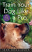Train Your Dog Like a Pro by Jean Donaldson