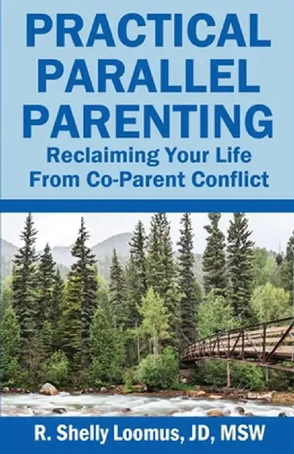 Practical Parallel Parenting: Practical Parallel Parenting by Jd Msw Loomus
