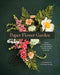 Paper Flower Garden: Fresh Techniques for Handmade Crepe Paper Blooms by Lia Griffith, Meagan Donnelly