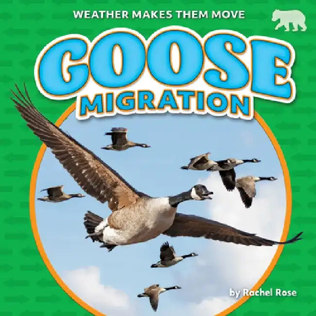 Goose Migration by Rachel Rose