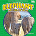 Elephant Migration by Rachel Rose