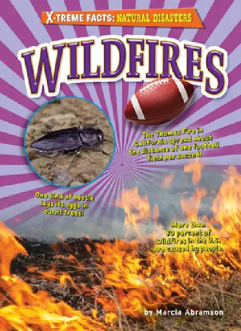 Wildfires by Marcia Abramson