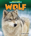 Wolf by Jenna Grodzicki