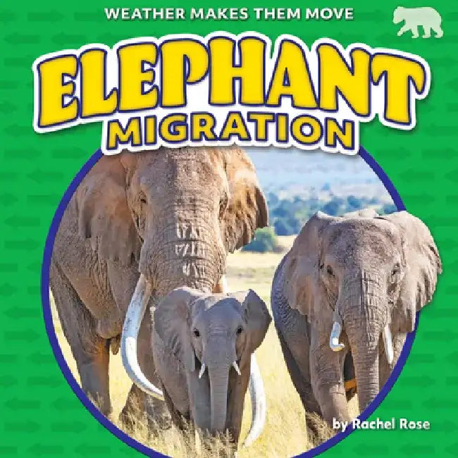 Elephant Migration by Rachel Rose