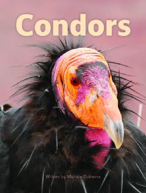 Condors by Michele DuFresne