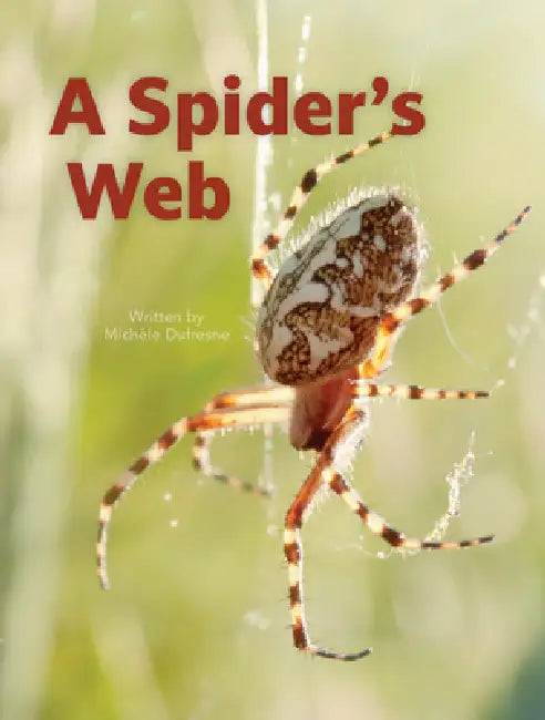 A Spider's Web by Michele DuFresne