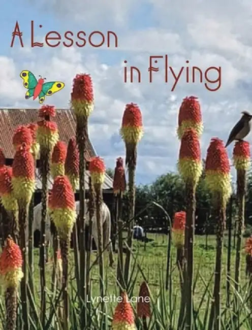 A Lesson in Flying by Lynette Lane