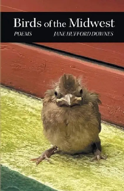 Birds of the Midwest by Jane Hufford Downes