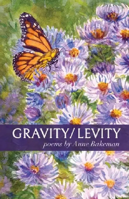 Gravity/Levity by Anne Bakeman