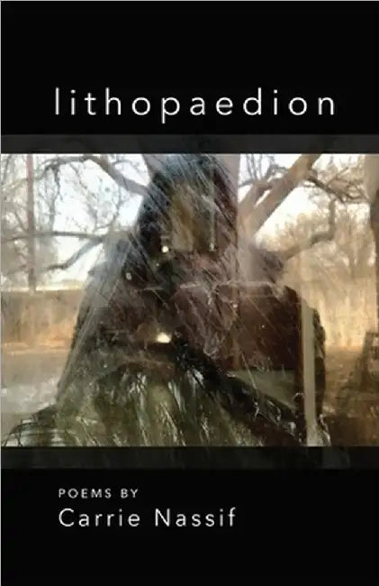 lithopaedion by Nassif, Carrie