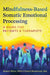 Mindfulness-Based Somatic Emotional Processing: A Guide for Patients and Therapists by Robert Weisz, Daniel Blackwood