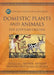 Domestic Plants and Animals: The Egyptian Origins by Douglas J. Brewer