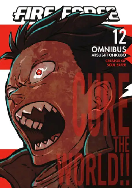 Fire Force Omnibus 12 (Vol. 33-34) by Atsushi Ohkubo