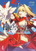 Fate/Grand Order -mortalis:stella- 4 (Manga) by Shiramine