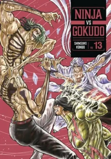Ninja vs. Gokudo 13 by Shinsuke Kondo