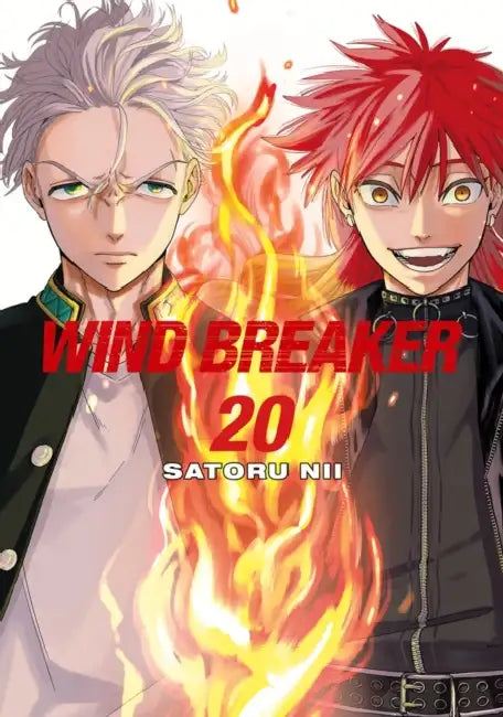 Wind Breaker 20 by Satoru Nii