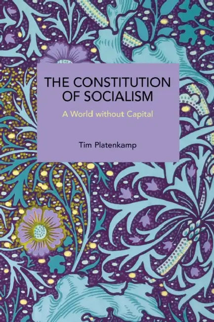 The Constitution of Socialism: A World Without Capital by Tim Platenkamp
