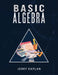 Basic Algebra by Jerry Kaplan