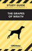 CliffsNotes on Steinbeck's The Grapes of Wrath: Literature Notes by Kelly McGrath Vlcek