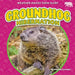 Groundhog Hibernation by Martha London