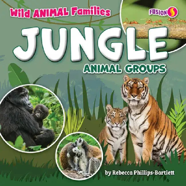 Jungle Animal Groups by Rebecca Phillips-Bartlett