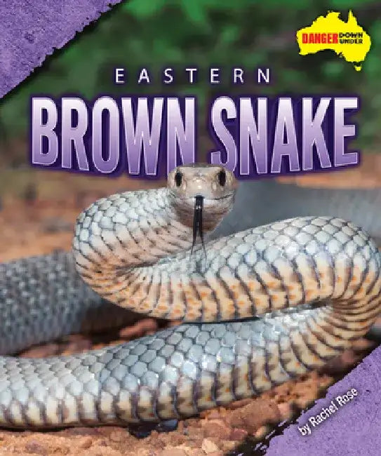 Eastern Brown Snake by Rachel Rose