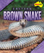 Eastern Brown Snake by Rachel Rose