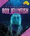 Australian Box Jellyfish by Rachel Rose