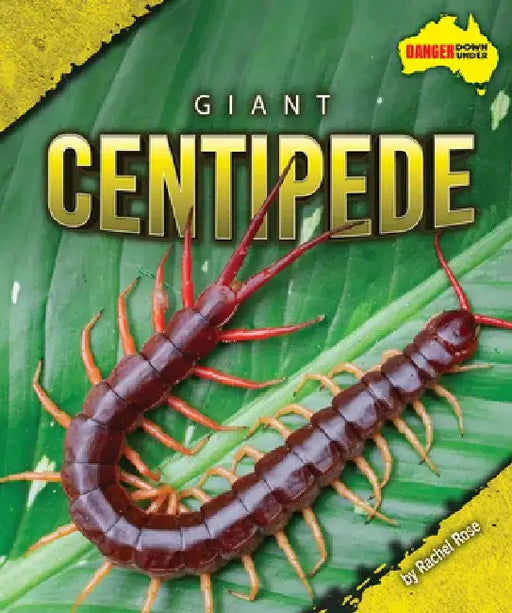 Giant Centipede by Rachel Rose